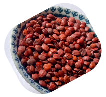 產品應用